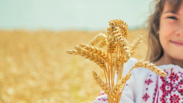 A child in a field of wheat in an embroidered shirt. Ukrainian. Selective focus.