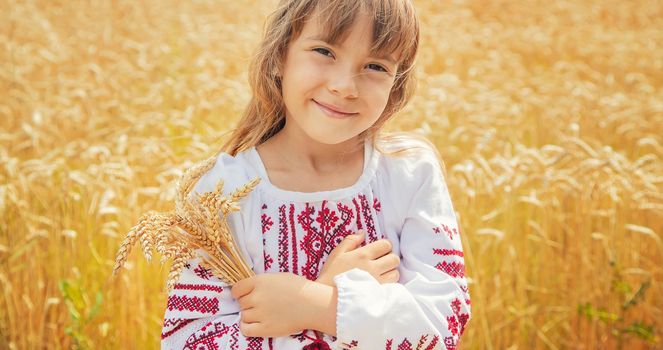 A child in a field of wheat in an embroidered shirt. Ukrainian. Selective focus.