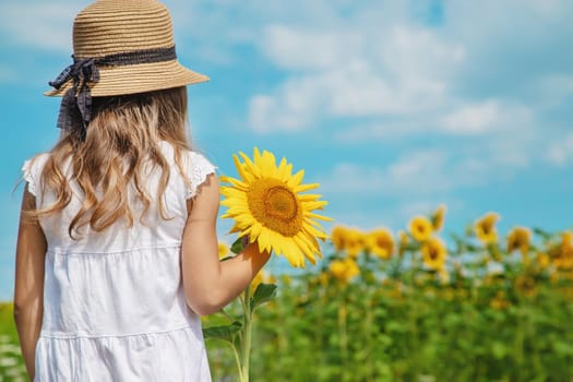 A child in a field of sunflowers. Selective focus. nature.