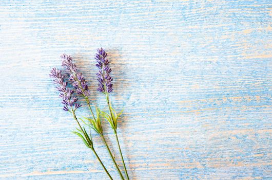 Lavender flowers laid on a light blue wooden  background