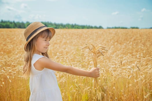 A child in a wheat field. Selective focus.