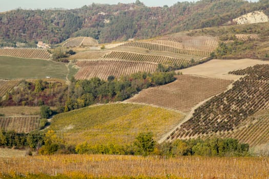 The landscape of the hills of the Oltrepo Pavese, you can see the hills where it is produced the wine of high quality Italian
