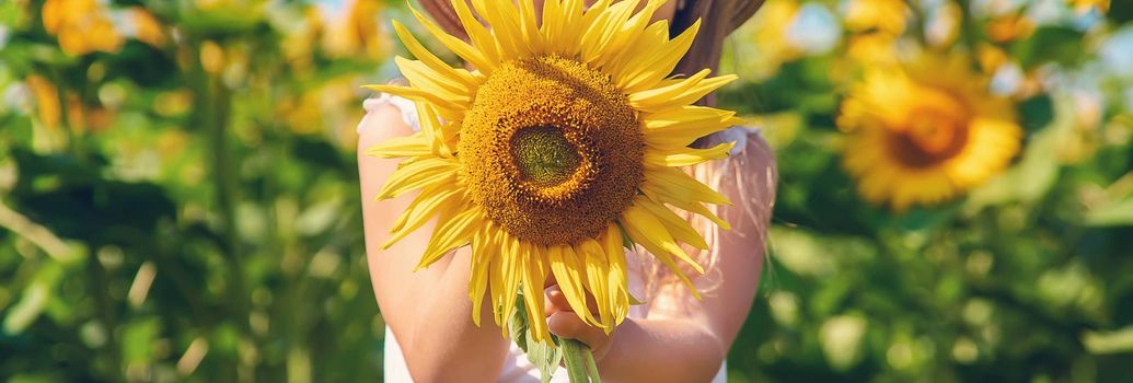 A child in a field of sunflowers. Selective focus.