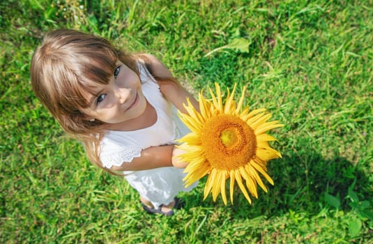 A child in a field of sunflowers. Selective focus.