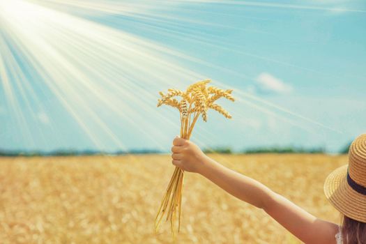 A child in a wheat field. Selective focus. nature.