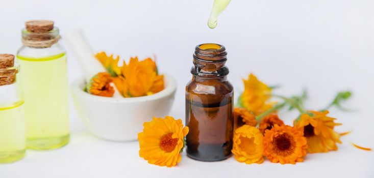 The calendula extract. Medicinal plants. Selective focus nature