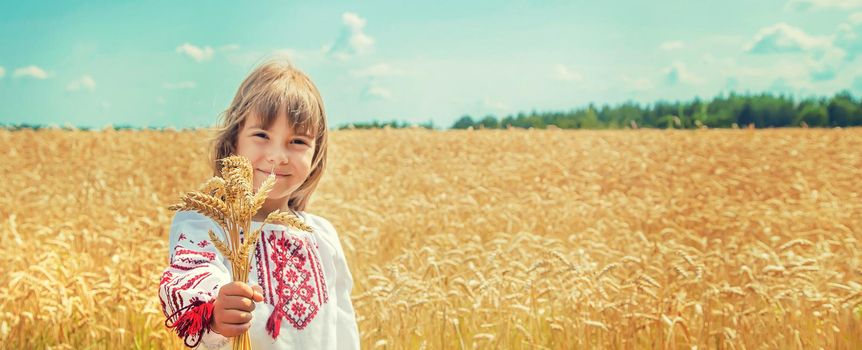 A child in a field of wheat in an embroidered shirt. Ukrainian. Selective focus.