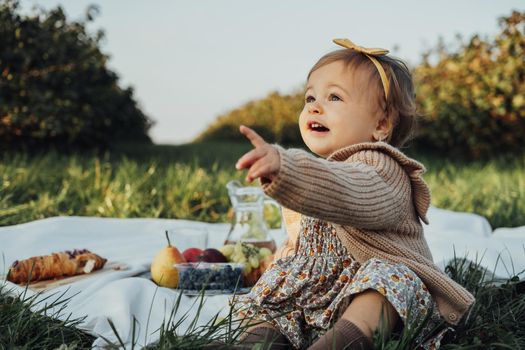 Portrait of Little Baby Girl Sitting on Plaid on Picnic Outdoors at Sunset