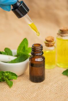 medicinal herbs. Selective focus. medicine and health nature