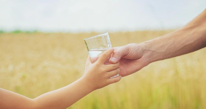 The father gives the child water in the background of the field. Selective focus. nature