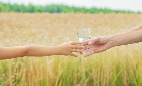 The father gives the child water in the background of the field. Selective focus. nature