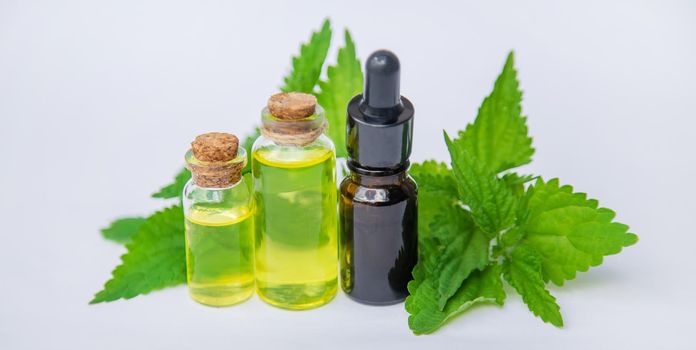 the nettle extract in a small jar. Selective focus. nature.
