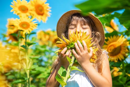 Child in a field of sunflowers. Selective focus. Nature.