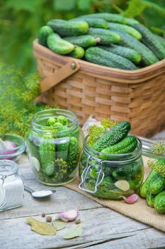 preservation of fresh house cucumbers. Selective focus. nature