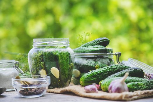 preservation of fresh house cucumbers. Selective focus. nature