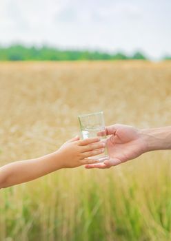 The father gives the child water in the background of the field. Selective focus. nature