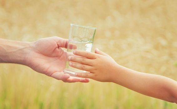 The father gives the child water in the background of the field. Selective focus. nature