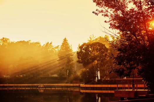 Sunset in the Park. The lake in the Park. Sunlight through the trees.