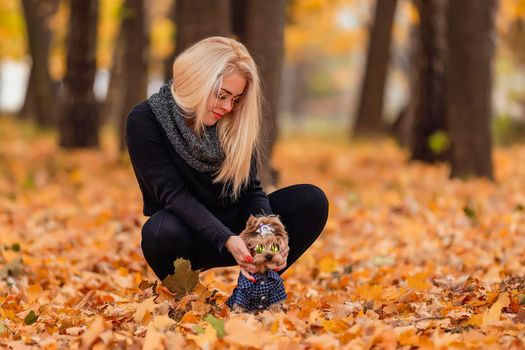 girl with a Yorkshire terrier dog in the autumn park