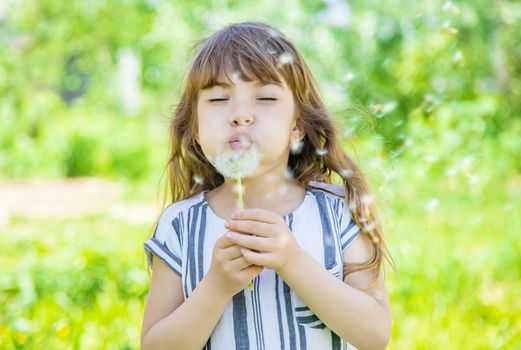 girl blowing dandelions in the air. selective focus.