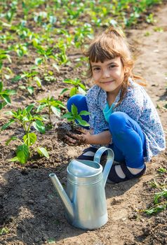 The child is planting seedlings in the garden. Selective focus. Nature.