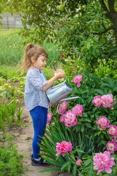 child watering flowers in the garden. Selective focus.