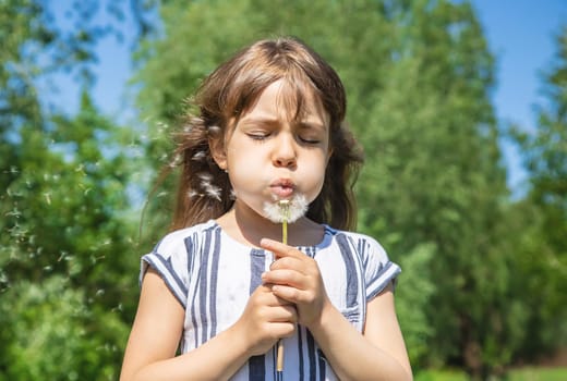 girl blowing dandelions in the air. selective focus.