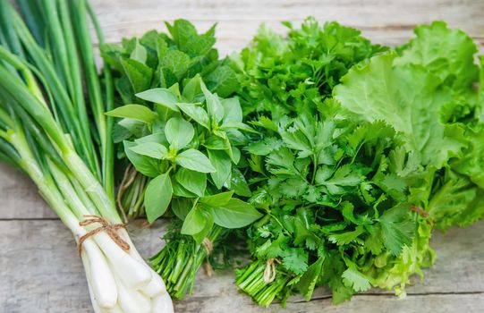 Fresh homemade greens from the garden. Selective focus. nature.