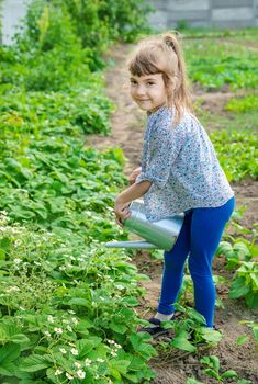 child watering flowers in the garden. Selective focus.