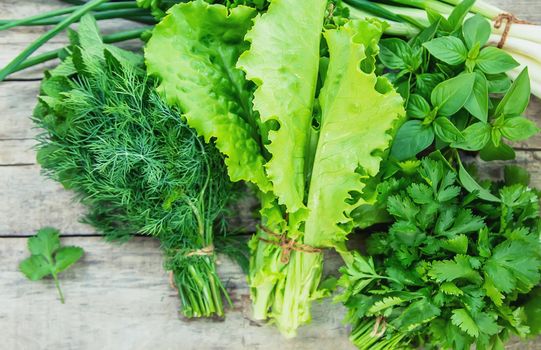 Fresh homemade greens from the garden. Selective focus. nature.