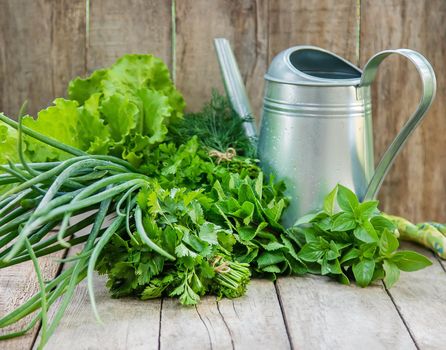 Fresh homemade greens from the garden. Selective focus. nature.