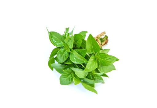 Fresh homemade greens from the garden. Isolate Selective focus. nature.
