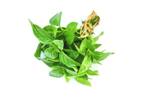Fresh homemade greens from the garden. Isolate Selective focus. nature.