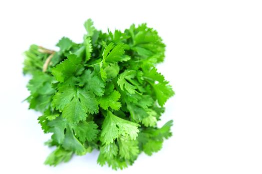 Fresh homemade greens from the garden. Isolate Selective focus. nature.