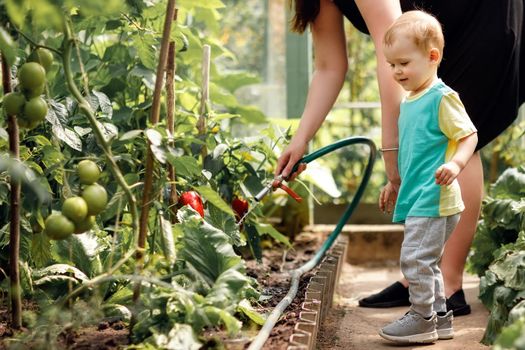 Woman shows her little son how to water plants in a greenhouse.