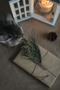 funny cat and a christmas gift in craft paper, candle, pine twig and cones top view, flatlay