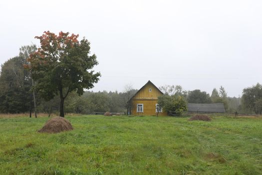 old wooden house in the countryside.