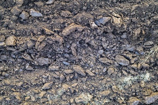 soil texture and background. Grunge soil background. Abstract ground. 