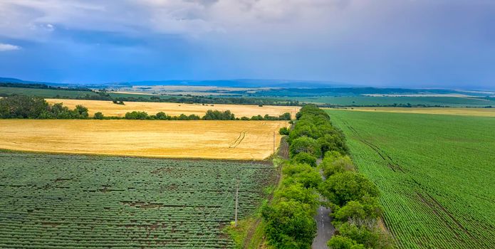 Aerial view from drone of beautiful green countryside, fields, road with trees, and cloudy sky