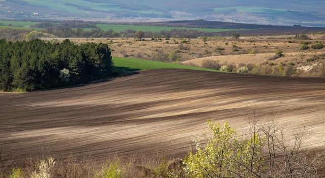The rural landscape with clean plowed field 