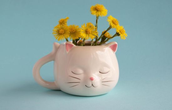 White coffee mug in the shape of a cat with pink ears, mother-and-stepmother flowers, close-up on a blue background.