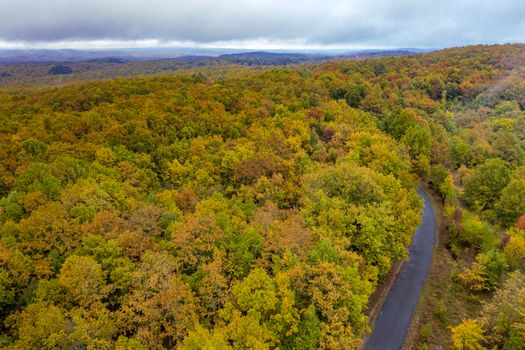 Autumn colorful forest. Aerial view from a drone over road between autumn trees in the forest.