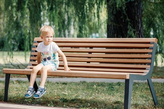 Small child plays in park, climbs onto bench.Kid is sitting on a park bench. Happy family and childhood concept. Healthy baby outdoors. Large tree foliage in the background.
