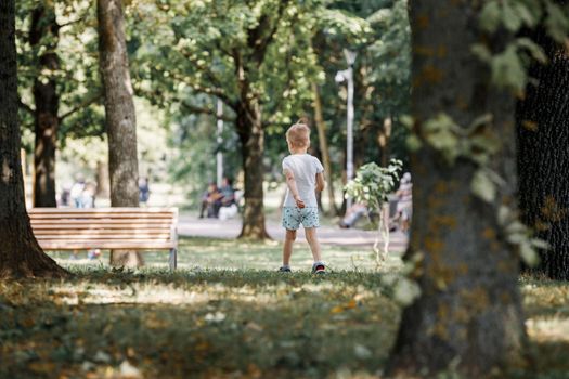 A little cute boy in the back view, traveling in an oak park.