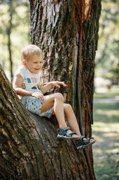 Cute kid boy sitting on the big tree in the park on a spring or summer day. Child climbing the tree in the city garden.