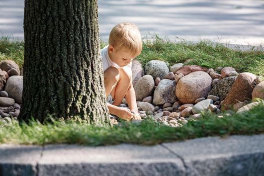 Little Boy collects colorful pebbles in the city park.
