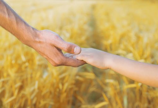Child and father in a wheat field. Selective focus. nature.