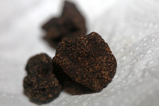 Black wild summer truffles mushrooms close up family tuberaceae botanical modern high quality big size background print home decoration