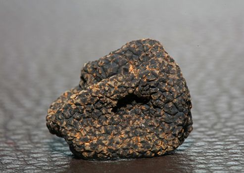 Black wild summer truffles mushrooms close up family tuberaceae botanical modern high quality big size background print home decoration