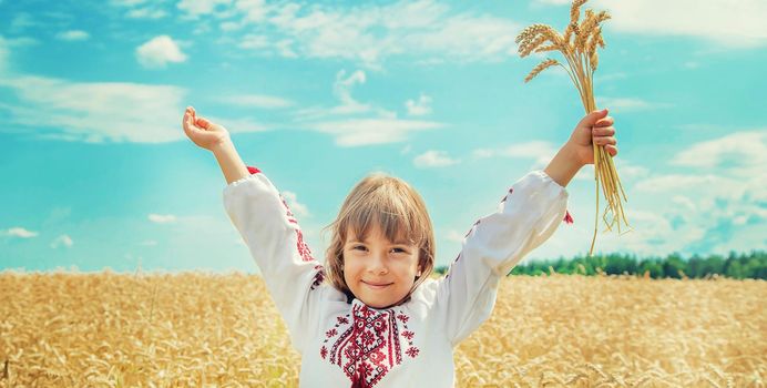 A child in a field of wheat in an embroidered shirt. Ukrainian. Selective focus.